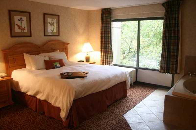 Hampton Inn Gatlinburg Rom bilde